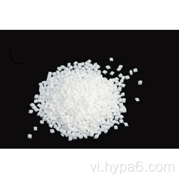 Nhà xuất khẩu chip PA6 sáng để sản xuất polymer